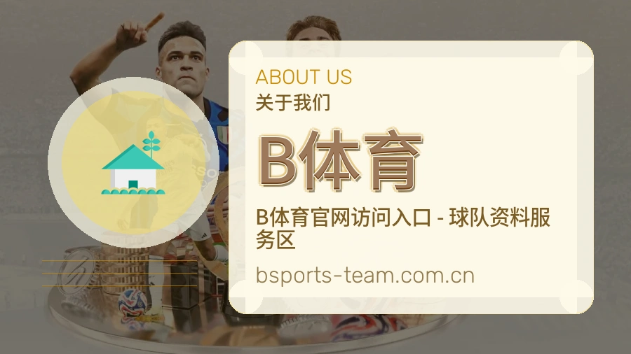 B体育平台简介展示